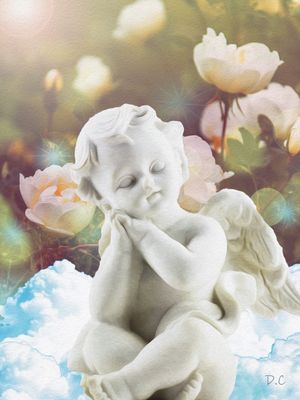 MEU ANJO DA GUARDA