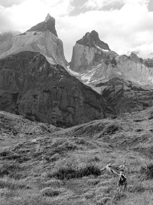 AS MONTANHAS LOS CUERNOS