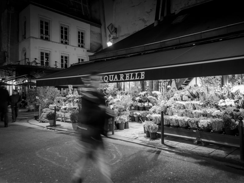 CENAS DE PARIS #11
