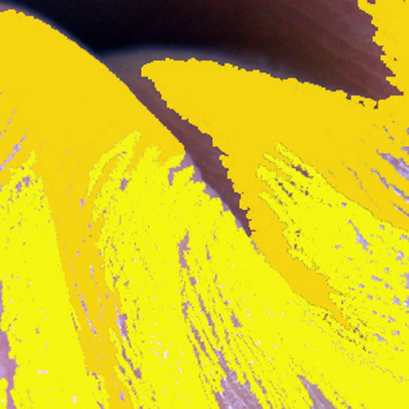 DIGITOGRAVURA 04
