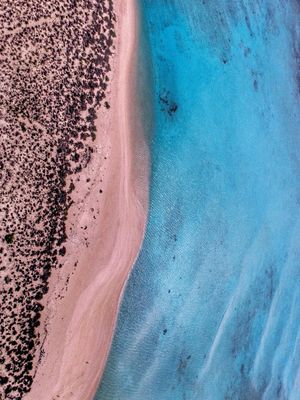 QUANDO O MAR ENCONTRA O DESERTO
