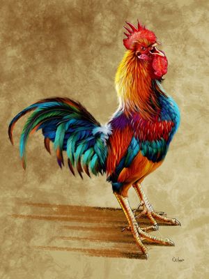 GALO DE OURO