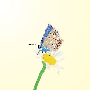 PINTURA BORBOLETA