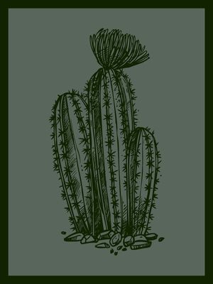 CACTUS COM 2 TONS DE VERDE 2