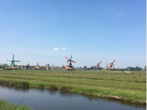 MOINHOS DE ZAANZE SCHANS
