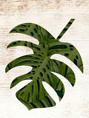 COSTELA DE ADÃO 03