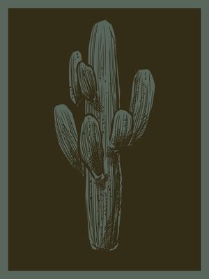 CACTUS COM 2 TONS DE VERDE
