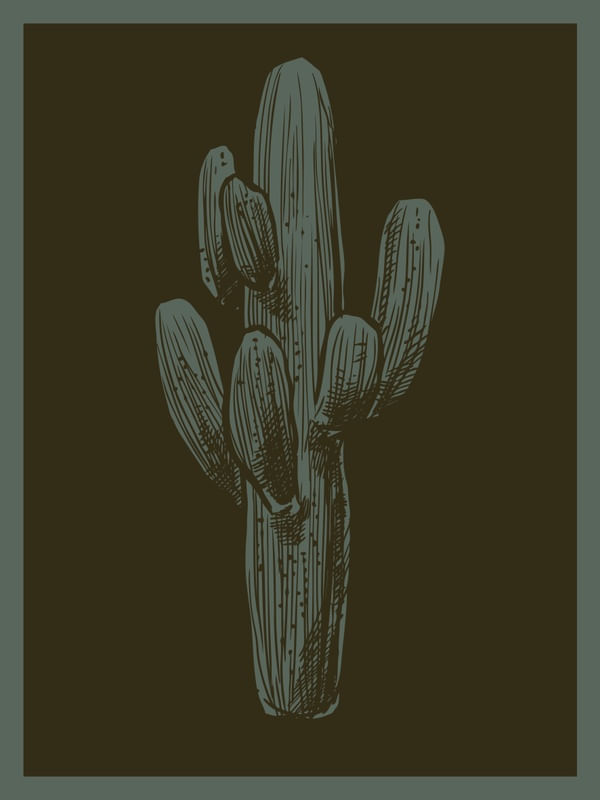 CACTUS COM 2 TONS DE VERDE