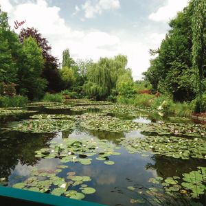 MONET?S GARDENS
