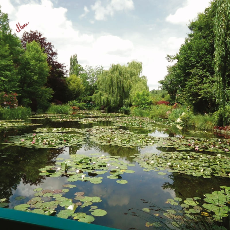 MONET?S GARDENS
