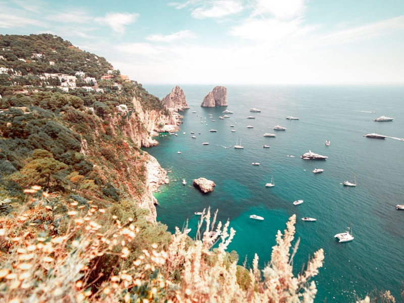 LOS FARALLONES DE CAPRI