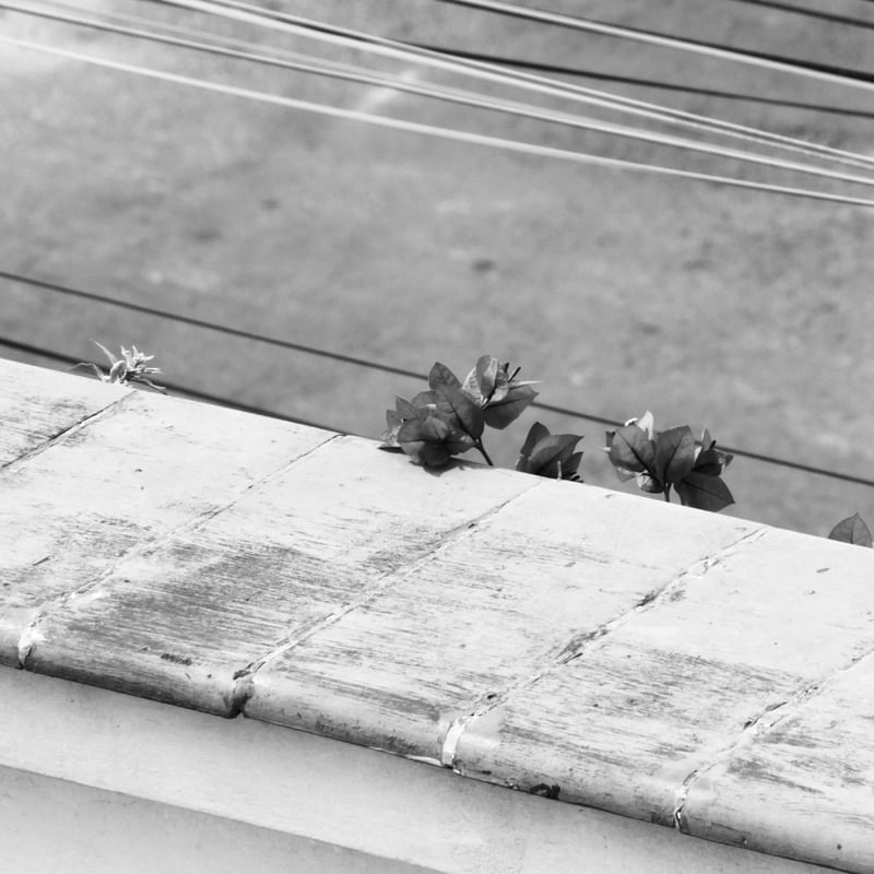 VENCENDO A CIDADE