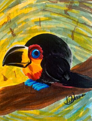 TUCANO DE BICO PRETO, POR LUCIANA ZORZENON