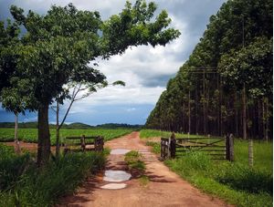 CAMINHO DA PORTEIRA
