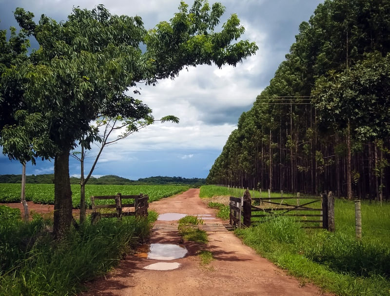 CAMINHO DA PORTEIRA