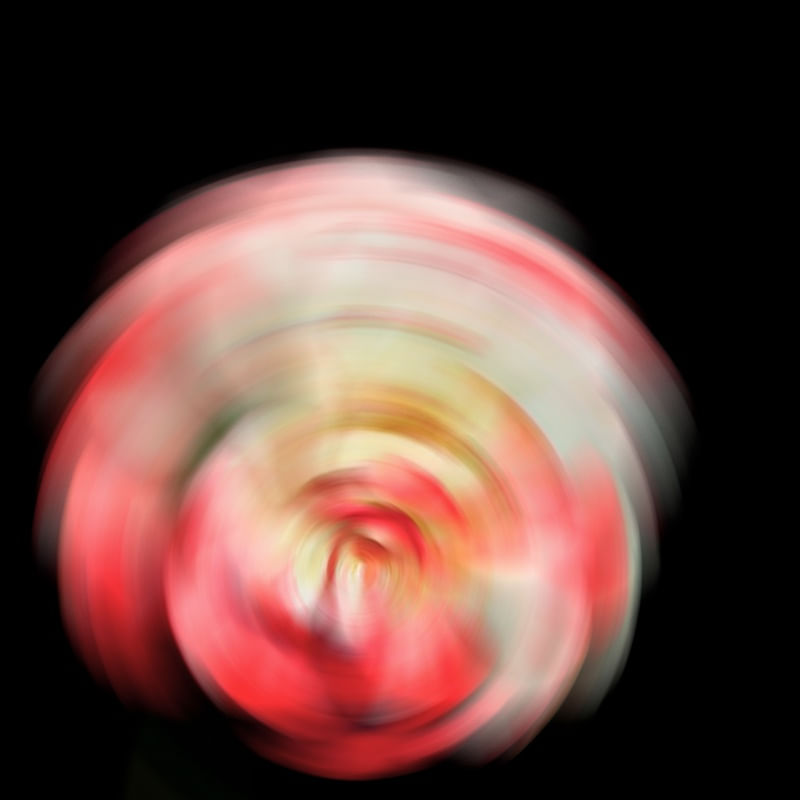 FLOWER RADIAL