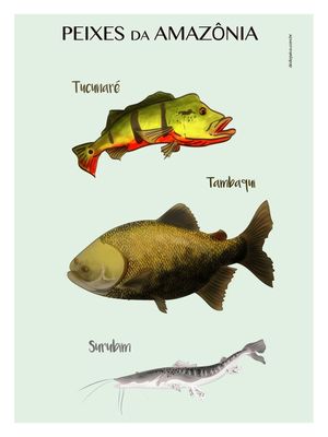 PEIXES AMAZÔNICOS