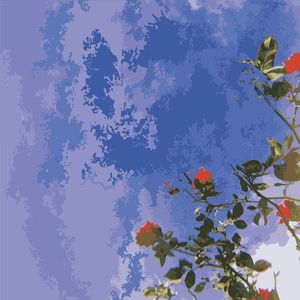 CÉU AZUL E FLORES