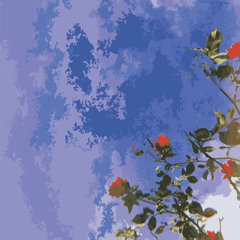 CÉU AZUL E FLORES