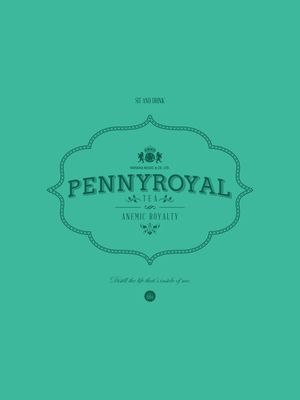PENNYROYAL TEA