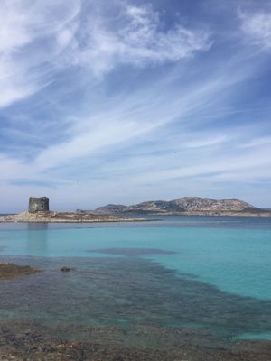 TORRE DELLA PELOSA
