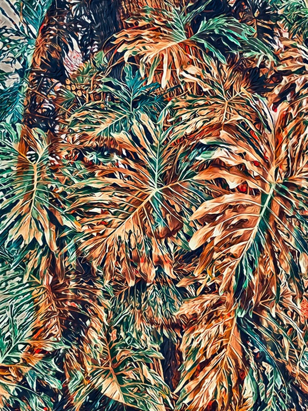INTO THE JUNGLE II