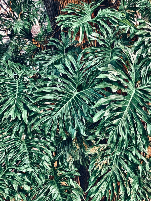 JUNGLE JUNGLE