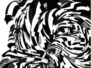 DEU ZEBRA