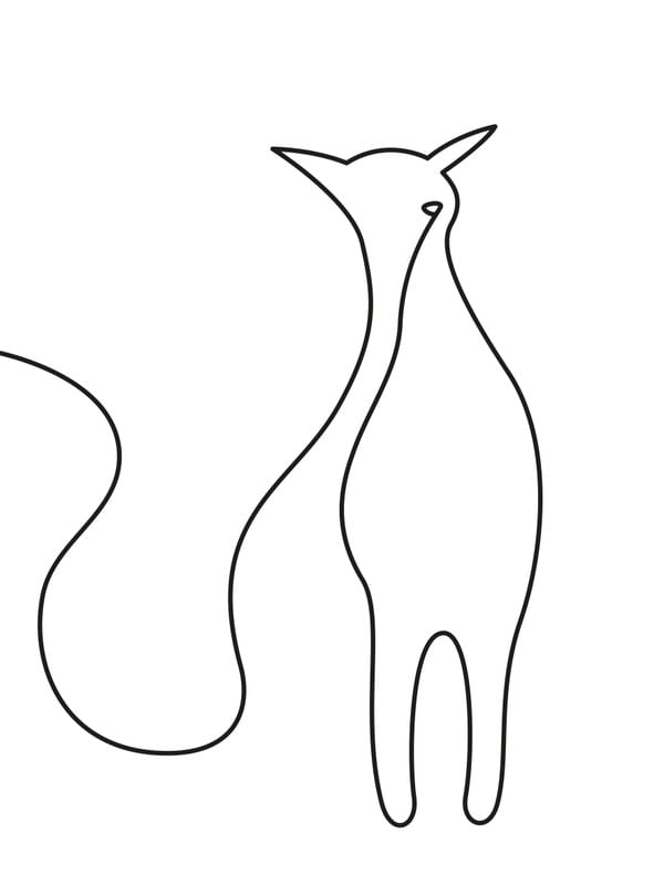 WHITE CAT