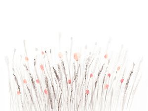 BOTANICAL WATERCOLOR IV - LANDSCAPE