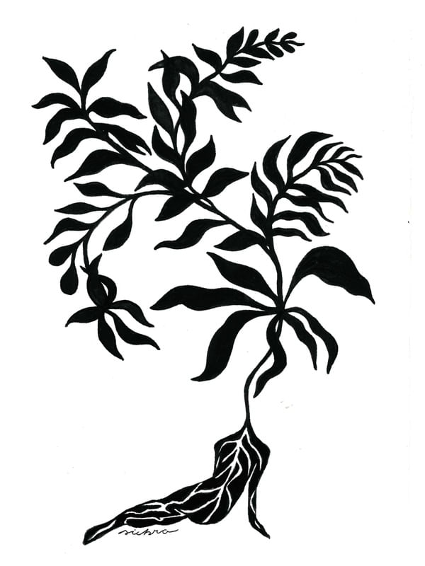 DEUSA NATUREZA