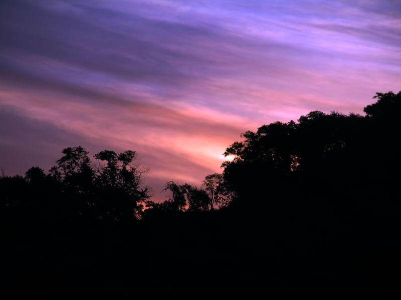 FIM DE TARDE DE INVERNO