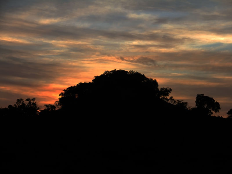TARDE NO SÍTIO