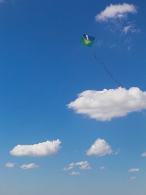 PIPA AVOADA