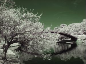 EMERALD BRIDGE