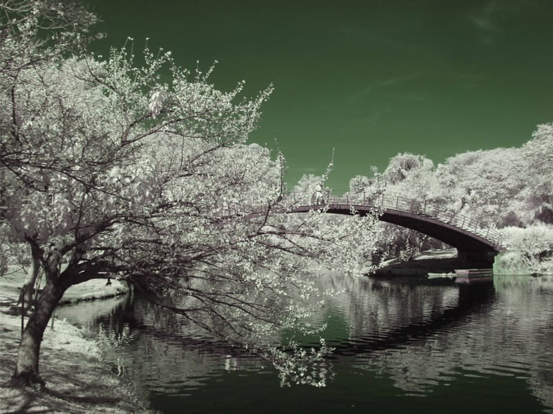 EMERALD BRIDGE
