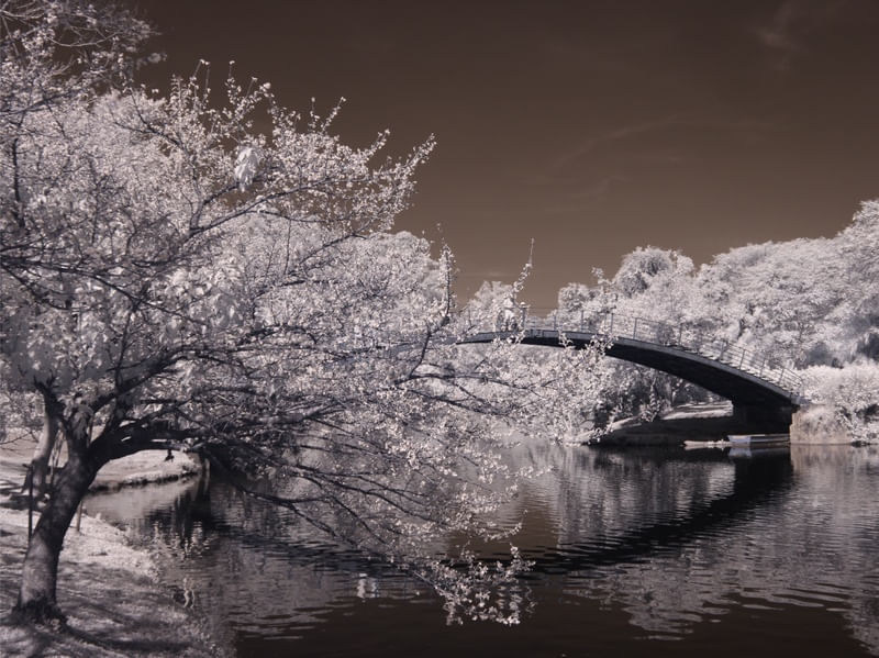 COPPER BRIDGE
