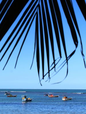 PONTA VERDE AZUL