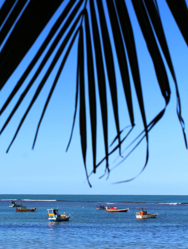 PONTA VERDE AZUL