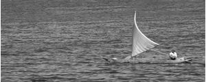 CANOA A VELA 9