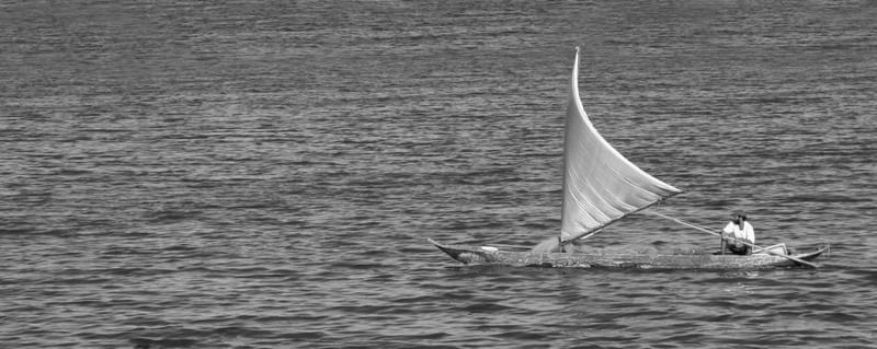 CANOA A VELA 9