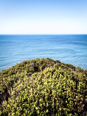 VERDE E AZUL