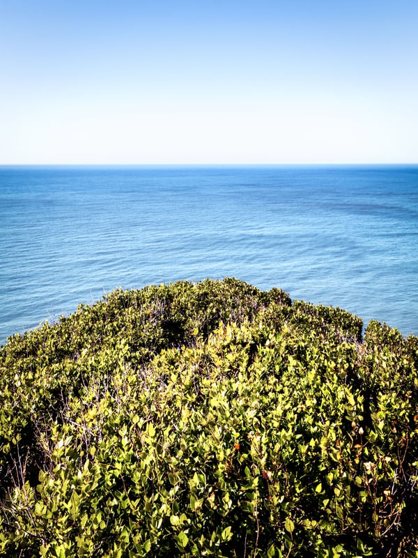 VERDE E AZUL