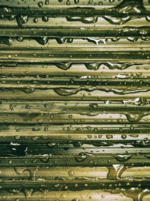 ABSTRATO COR 009 LV