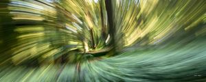 ESPIRAL NO PARQUE