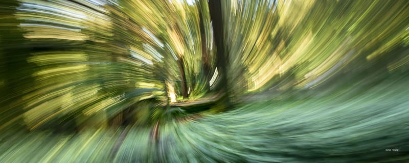 ESPIRAL NO PARQUE