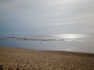 TARDE DOURADA #1