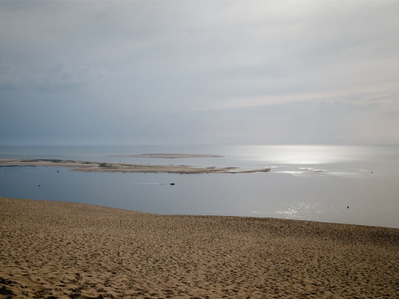 TARDE DOURADA #1