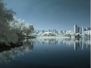 LAGO IBIRAPUERA INFRAVERMELHO AZUL