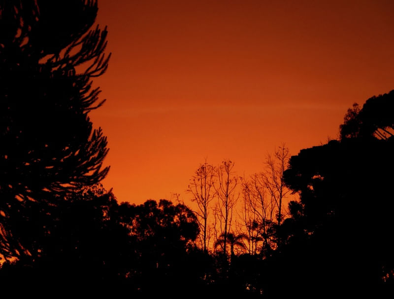 SKY IS BURNING